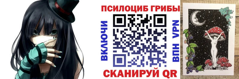 Галлюциногенные грибы MAGIC MUSHROOMS  что такое   Багратионовск 